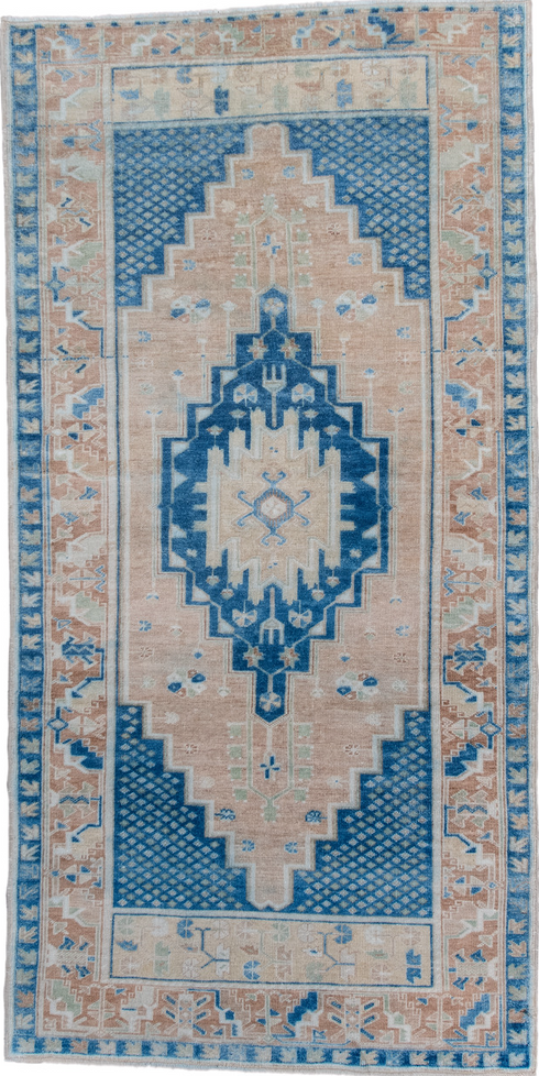 Antique Anatol Area Rug (4' x 7')